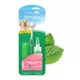 Product TropiClean Fresh Breath - Plaque and Tartar Control Kit for Puppies