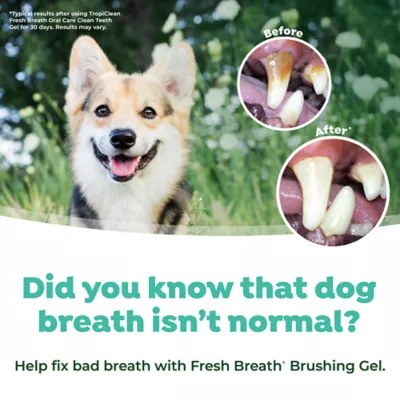 Product TropiClean Fresh Breath - Plaque & Tartar Control Kit for Small & Medium Dogs