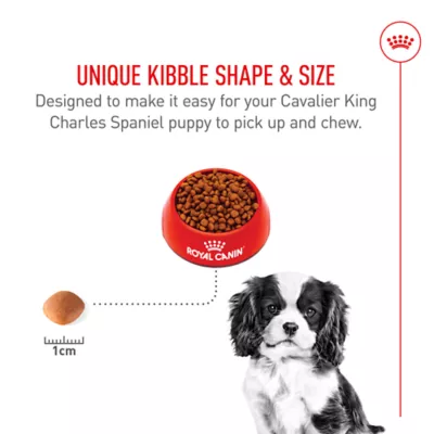 Product Royal Canin Puppy Dry Dog Food - Cavalier King Charles Spaniel Breed Health Nutrition, 3 lb