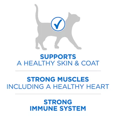 Product Purina ONE +Plus High Protein Dry Cat Food - Salmon & Ocean Whitefish Formula