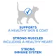 Product Purina ONE +Plus High Protein Dry Cat Food - Salmon & Ocean Whitefish Formula