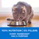 Product Purina ONE +Plus High Protein Dry Cat Food - Salmon & Ocean Whitefish Formula