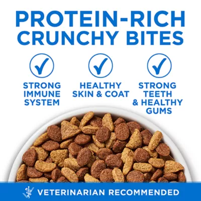Product Purina ONE +Plus High Protein Dry Cat Food - Salmon & Ocean Whitefish Formula