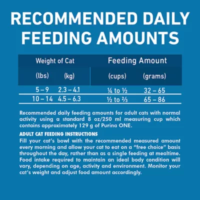 Product Purina ONE +Plus High Protein Dry Cat Food - Salmon & Ocean Whitefish Formula
