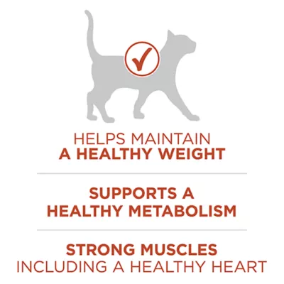 Product Purina ONE +Plus High Protein Dry Cat Food - Chicken Formula, 1.8 kg