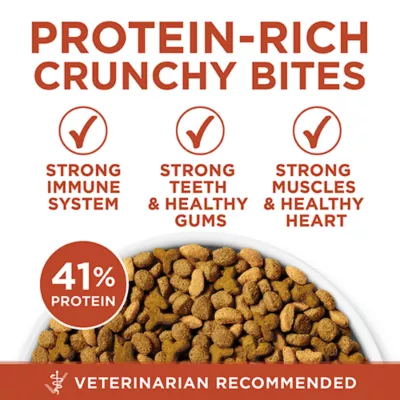 Product Purina ONE +Plus High Protein Dry Cat Food - Chicken Formula, 1.8 kg