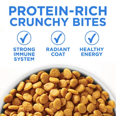 Product Purina ONE +Plus Urinary Tract Formula Dry Cat Food - Chicken