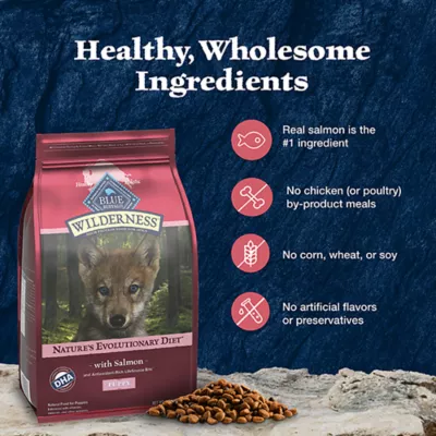 Product Blue Buffalo Wilderness Nature's Evolutionary Diet Puppy Dry Dog Food - Salmon