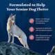 Product Blue Buffalo Wilderness Nature's Evolutionary Diet Senior Dry Dog Food - Salmon