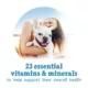 Product Beneful Incredibites Wet Dog Food - Real Beef Variety Pack, 85 g x 12