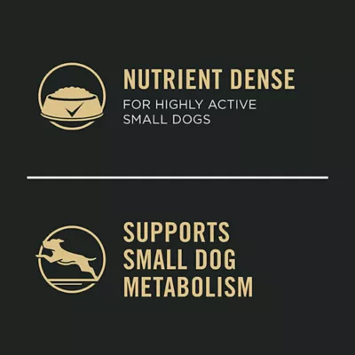 Product Purina Pro Plan Specialized Small Breed Wet Dog Food - Beef & Green Beans Entrée, 156 g