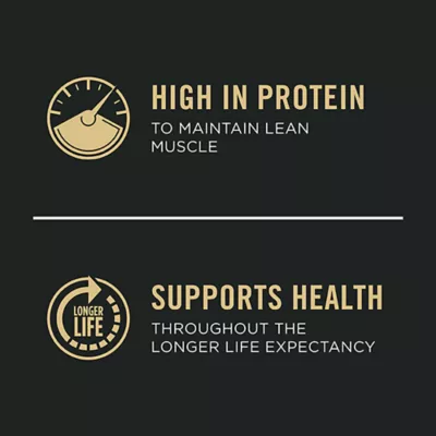 Product Purina Pro Plan Specialized Small Breed Wet Dog Food - Beef & Green Beans Entrée, 156 g