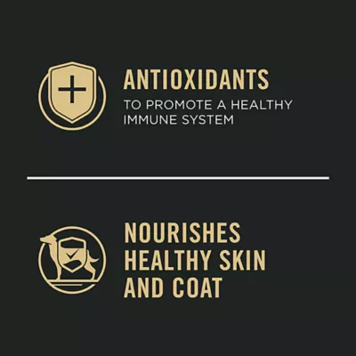 Product Purina Pro Plan Specialized Small Breed Wet Dog Food - Beef & Green Beans Entrée, 156 g