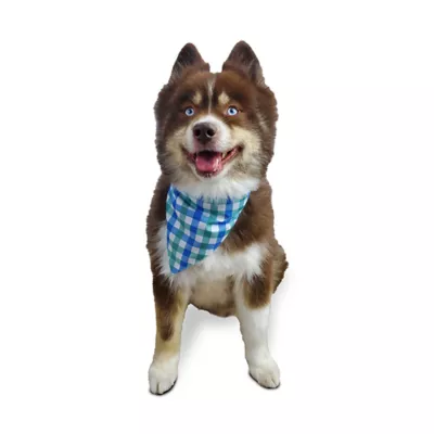 Product Hip Doggie Reversible Bandana
