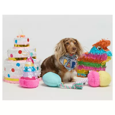 Product Hotel Doggy Birthday Balloon Rope Tug Dog Toy