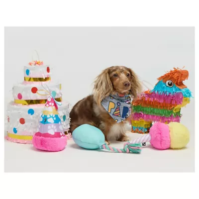 Product Hotel Doggy Birthday Hat Plush Dog Toy