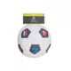 Product Hotel Doggy Birthday Soft Plush Soccer Ball Dog Toy