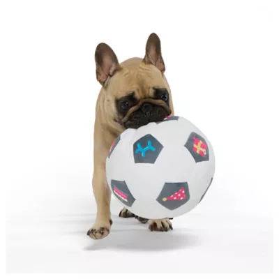 Product Hotel Doggy Birthday Soft Plush Soccer Ball Dog Toy
