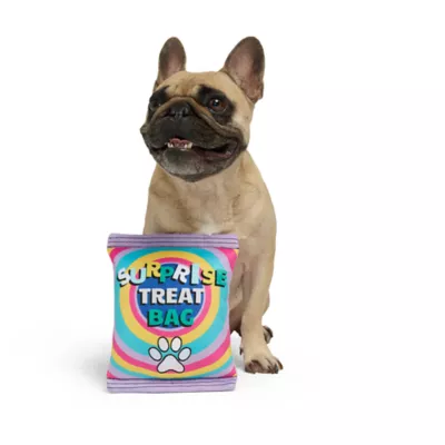 Product Hotel Doggy Birthday Surprise Bag Plush Dog Toy