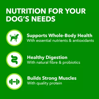 Product IAMS Adult Dry Dog Food - Beef and Rice Recipe