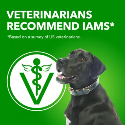 Product IAMS Adult Dry Dog Food - Beef and Rice Recipe