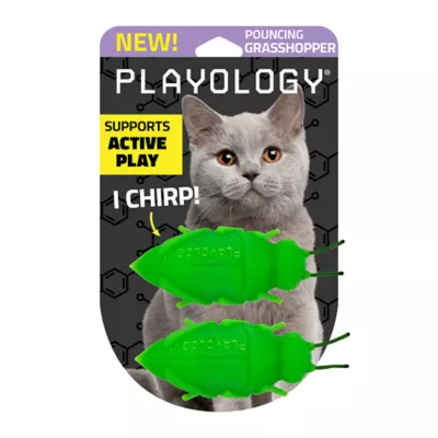 Product Playology® Grasshoppers Cat Toy, 2PK