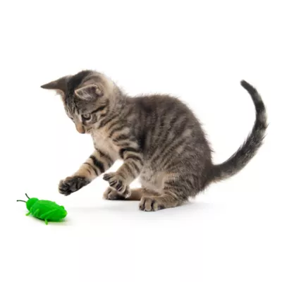 Product Playology® Grasshoppers Cat Toy, 2PK