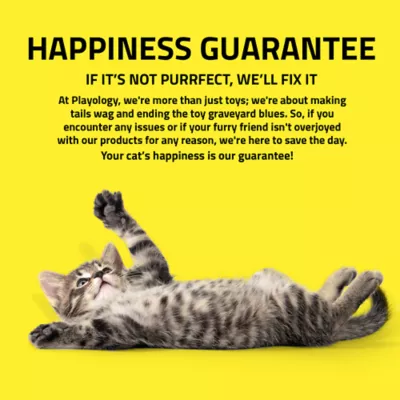 Product Playology® Grasshoppers Cat Toy, 2PK