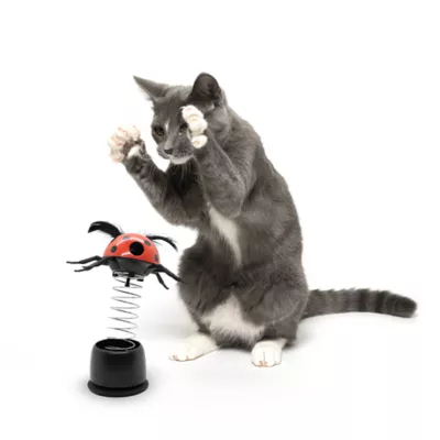 Product Playology® Ladybug Treat Dispenser Cat Toy