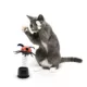 Product Playology® Ladybug Treat Dispenser Cat Toy