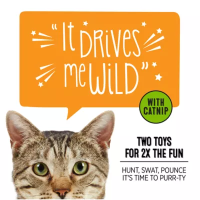 Product Whisker City® Tropical Cat Toys, 2 Count