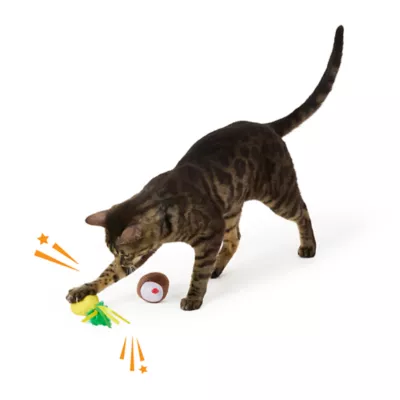 Product Whisker City® Tropical Cat Toys, 2 Count
