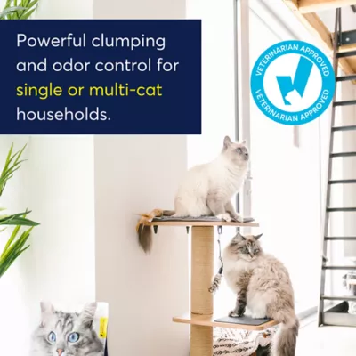 Product OdorLock Unscented Clumping Clay Cat Litter