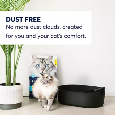 Product OdorLock Unscented Clumping Clay Cat Litter