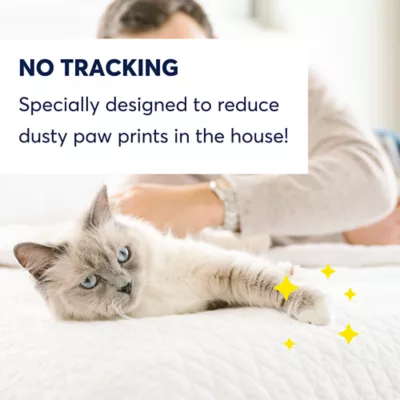 Product OdorLock Unscented Clumping Clay Cat Litter