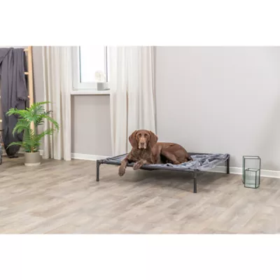 Product TRIXIE 2-in-1 Elevated Portable Dog House/Cot & Tent for Dogs