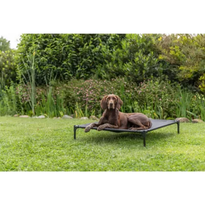 Product TRIXIE 2-in-1 Elevated Portable Dog House/Cot & Tent for Dogs