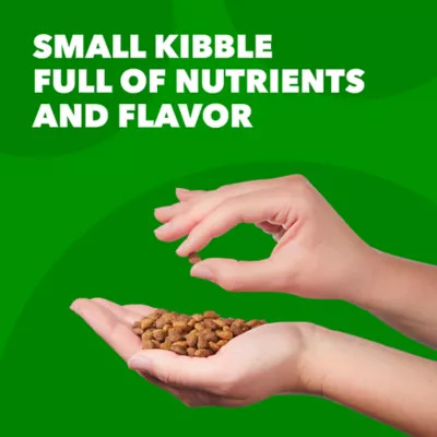 Product IAMS Proactive Health Dog Food Beef and Rice