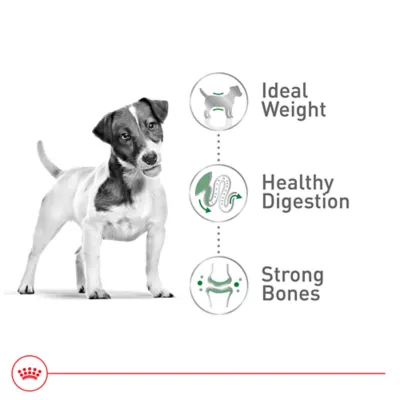 Product Royal Canin Size Health Nutrition Small Breed Adult Dry Dog Food