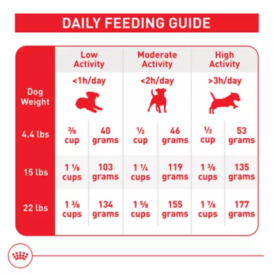 Product Royal Canin Size Health Nutrition Small Breed Adult Dry Dog Food