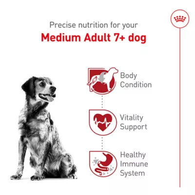 Product Royal Canin Size Health Nutrition Medium Breed Senior 7+ Dry Dog Food - 30 lb