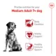 Product Royal Canin Size Health Nutrition Medium Breed Senior 7+ Dry Dog Food - 30 lb