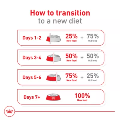 Product Royal Canin Size Health Nutrition Medium Breed Senior 7+ Dry Dog Food - 30 lb