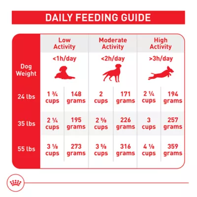 Product Royal Canin Size Health Nutrition Medium Breed Senior 7+ Dry Dog Food - 30 lb