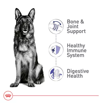 Product Royal Canin Size Health Nutrition Large Breed Adult Dry Dog Food