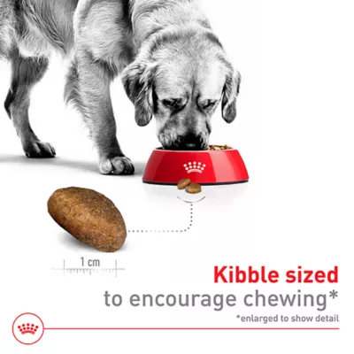 Product Royal Canin Size Health Nutrition Large Breed Adult Dry Dog Food