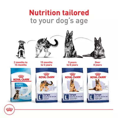 Product Royal Canin Size Health Nutrition Large Breed Adult Dry Dog Food