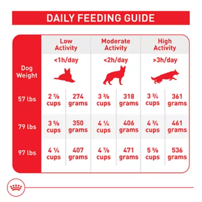 Product Royal Canin Size Health Nutrition Large Breed Adult Dry Dog Food
