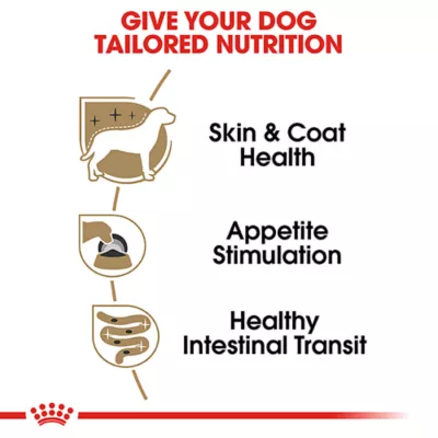 Product Royal Canin Breed Health Nutrition Yorkshire Terrier Adult Wet Dog Food - 3 oz (6 Count)