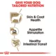 Product Royal Canin Breed Health Nutrition Yorkshire Terrier Adult Wet Dog Food - 3 oz (6 Count)